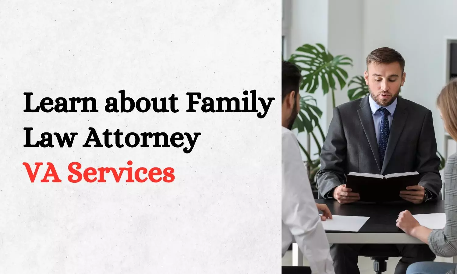 Learn about Family Law Attorney VA Services